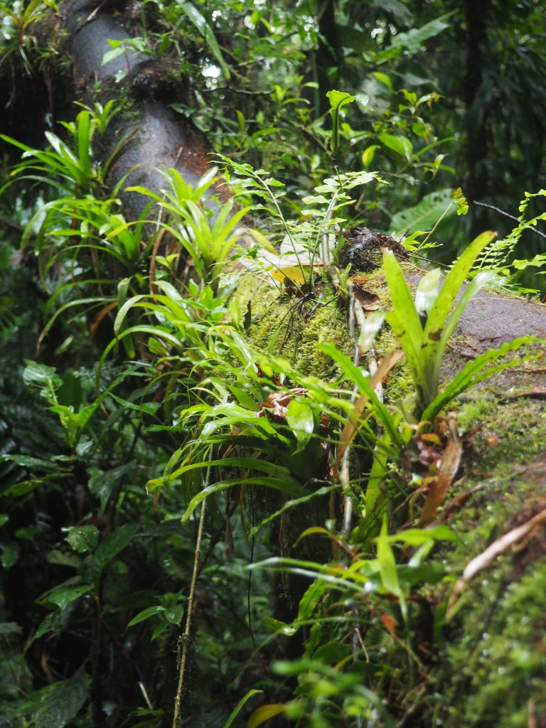 This image has an empty alt attribute; its file name is p7233541.jpg